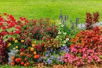 「キレイな花壇だなと思って近づいて見てみたら…」　街中で見つけた花壇に「植えられているもの」に思わず二度見