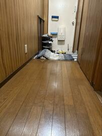 「子猫を探せ」　完全に隠れているつもりの猫　かわいい居場所にホッコリ