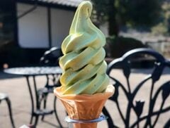 静岡県の道の駅で味わう「玉露ソフトとコロッケ」　香り豊かな絶品グルメに「新発見！」「うまいよね」と反響