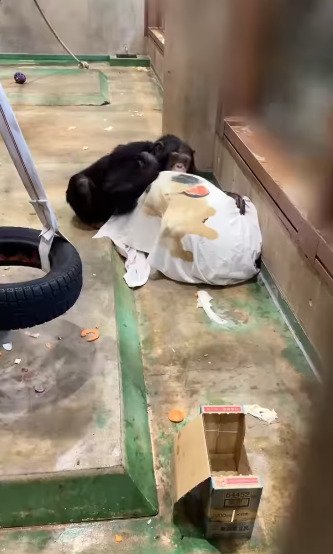 旭川市旭山動物園