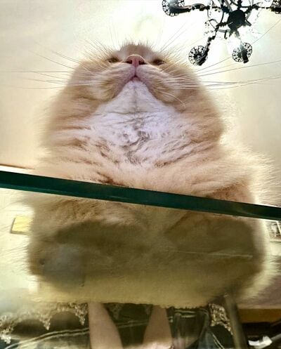 ローアングルで撮影したエマちゃん