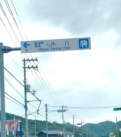 投稿の画像