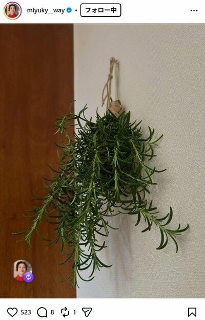 香坂みゆきのInstagram投稿