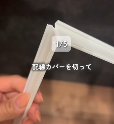 投稿の画像