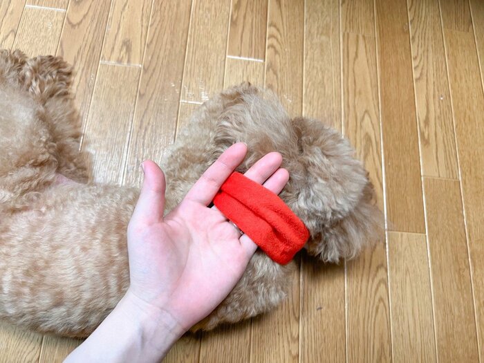 指が2本以上入るので締め付け感もありません