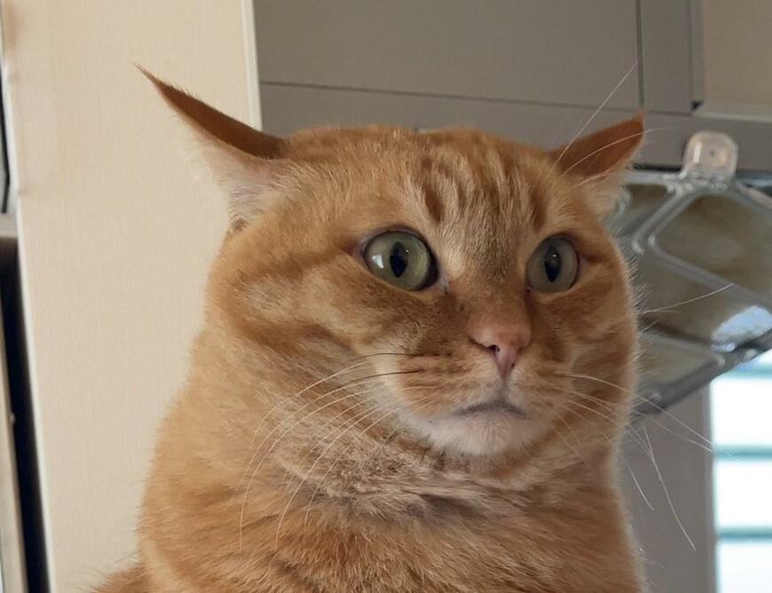 出所：@kagisuzu0531