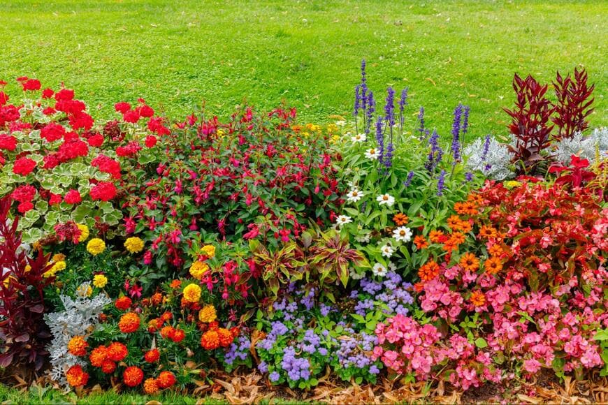 「キレイな花壇だなと思って近づいて見てみたら…」　街中で見つけた花壇に「植えられているもの」に思わず二度見