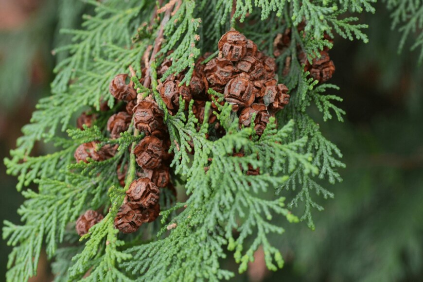 undefined undefined/istockphoto.com