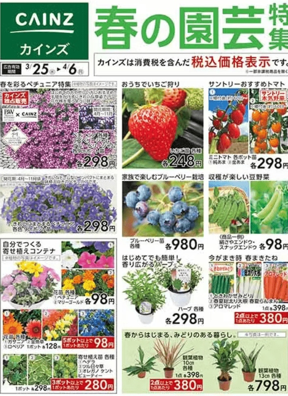 画像出典：カインズ公式