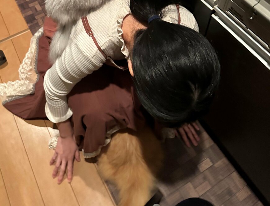 出所：@NEKOLAND13