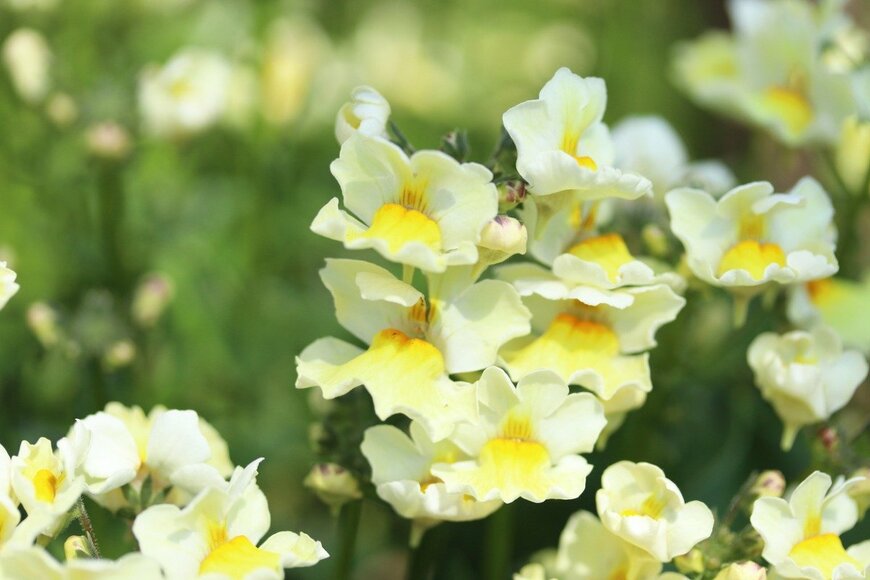 Hana-Photo/istockphoto.com