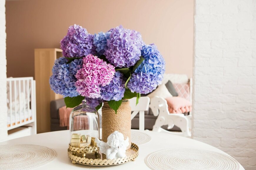 PhotoJuli86/shutterstock.com