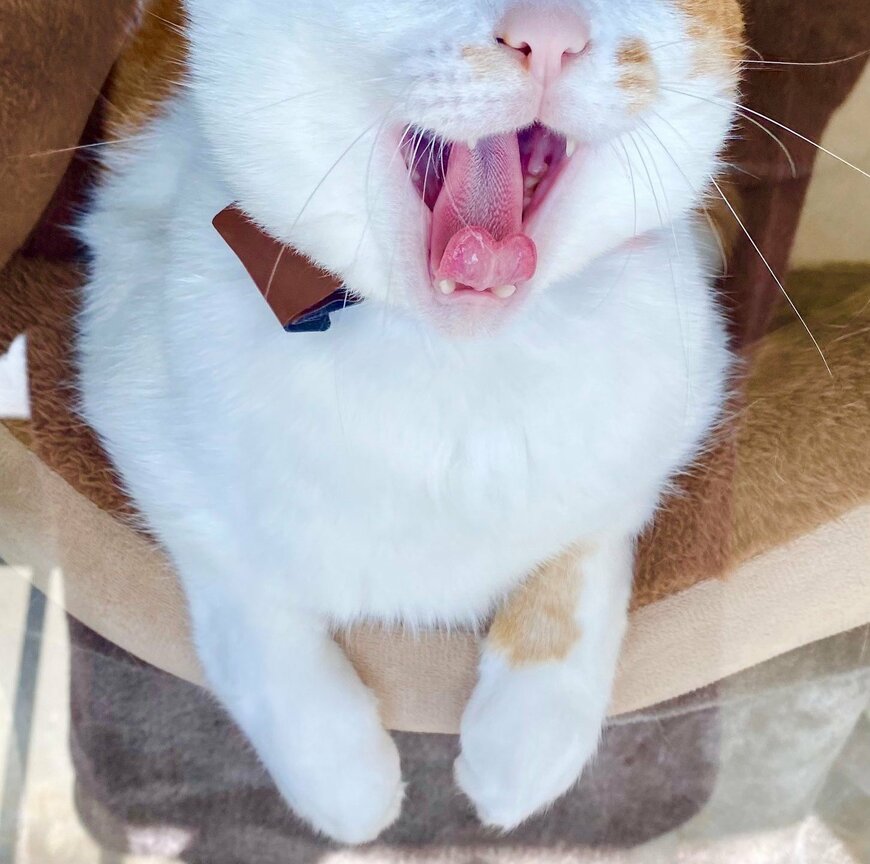 出所：@luna7taka9