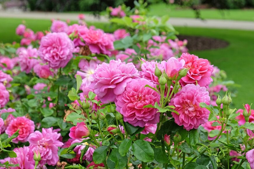 Alex Manders/istockphoto.com