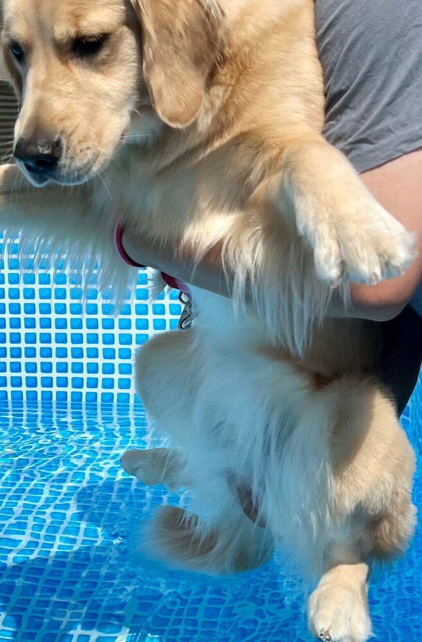 出所：@pu_channeldesu