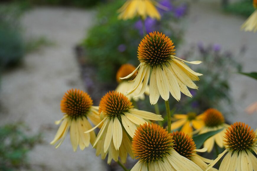 Heinsdorff Jularlak/shutterstock.com