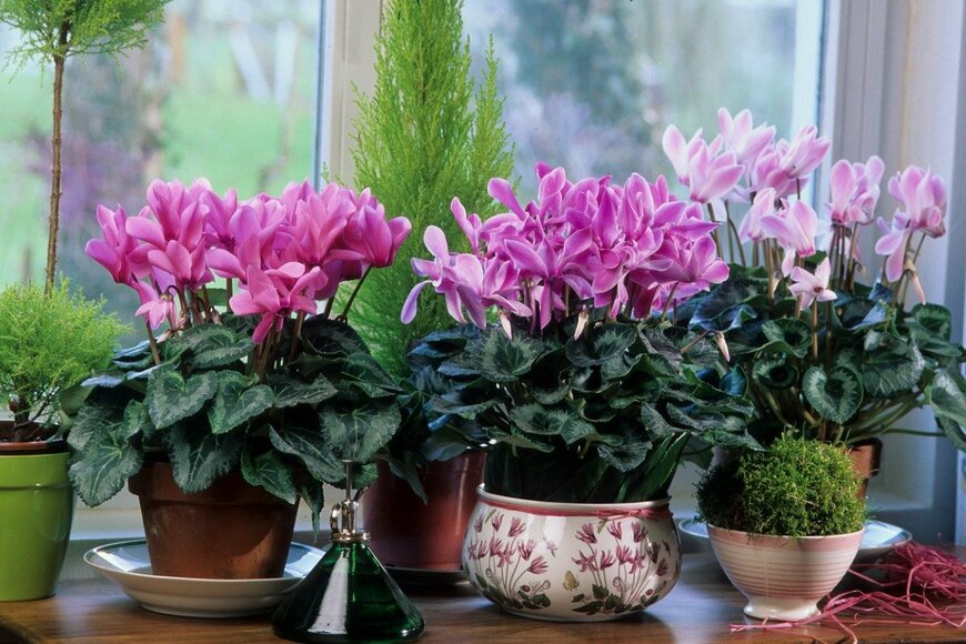 Michel VIARD/istockphoto.com