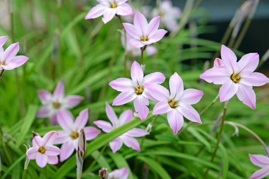 Alex Manders/shutterstock.com