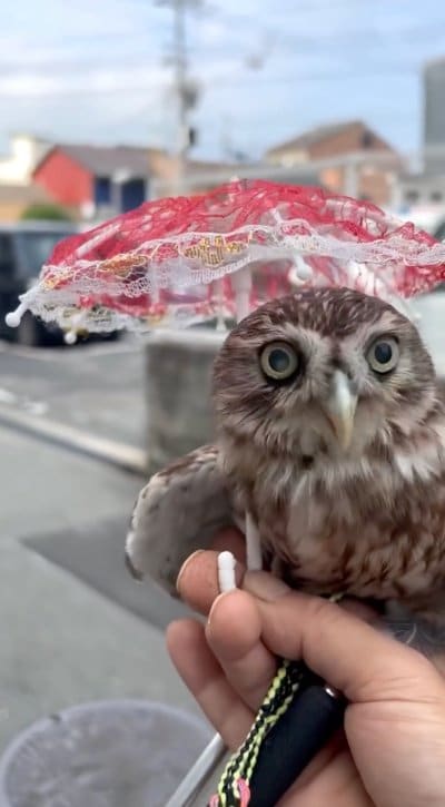 出所：@cr8673.hiro