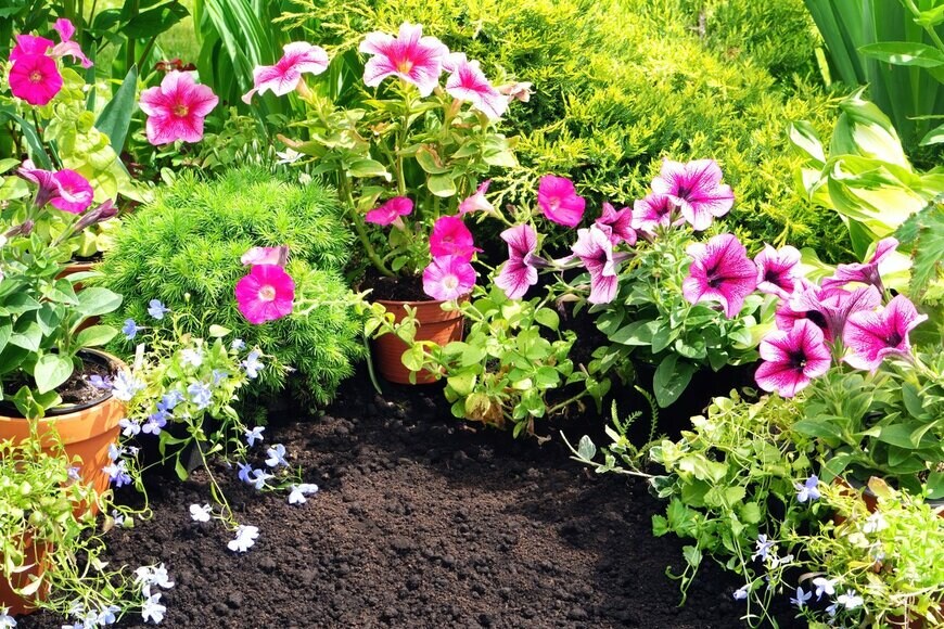 nieriss/Shutterstock.com