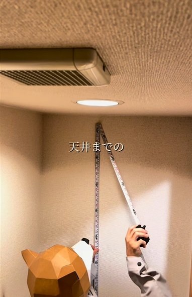 【賃貸DIY】統一感の無いトイレを和モダンに大変身！「素敵な天井すぎてここに住みたい」と話題