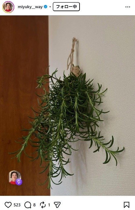 出所：香坂みゆきのInstagram（＠miyuky__way）　参照日：2026年4月9日