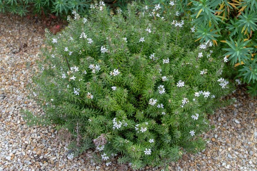 Svetlana Zhukova/shutterstock.com