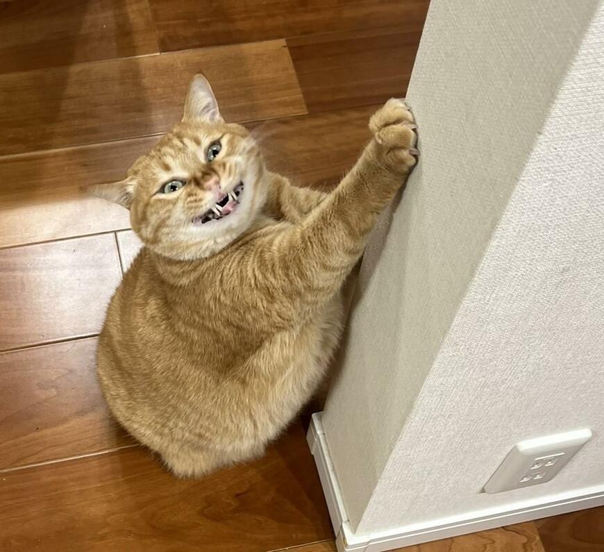 出所：@kagisuzu0531