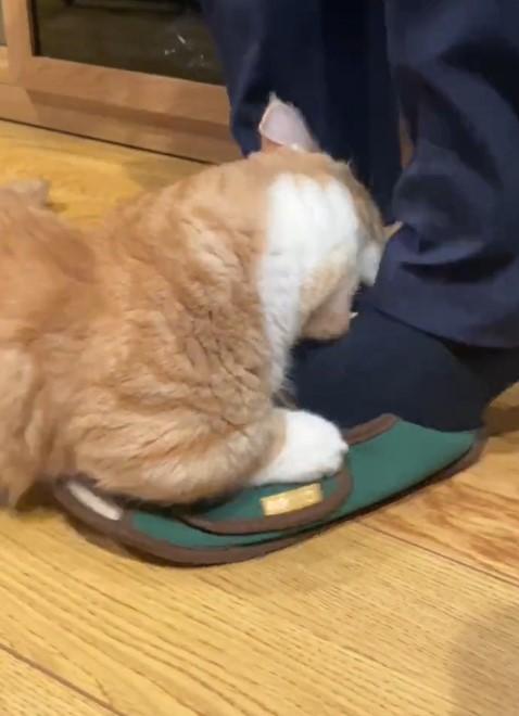 出所：@kotaro_0315