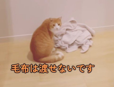 出所：＠miko_nekoneko