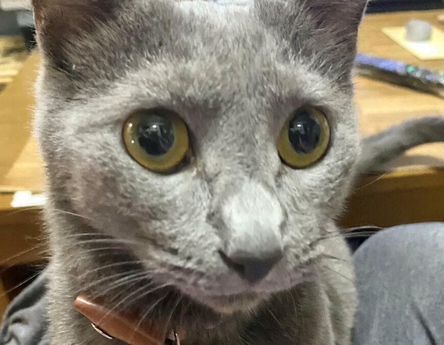 出所：@luna7taka9