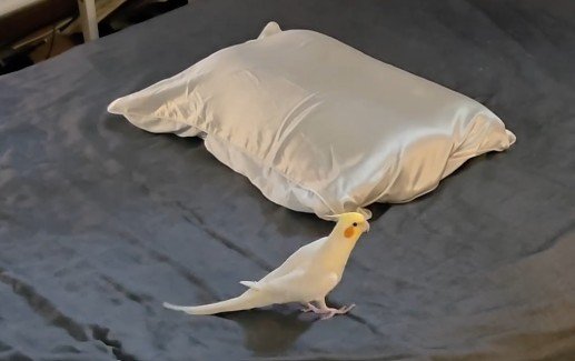 投稿の画像