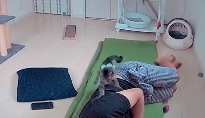 横たわる人と猫