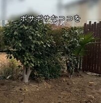 「私もやってみたくなりました」ボサボサな庭の一角を改善するDIY。ダイソーの紐で描いたナチュラルな曲線の植栽スペースを作る手順と仕上がり