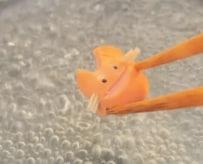 【ソーセー「人」ならぬソーセー「猫」】「トンカツ弁当をよく見ると？」春の訪れと共に現れた”ソーセージで作る猫ちゃん”が話題