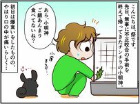 介護生活再び。試行錯誤で見つけた独自の給餌スタイル!? 通院ライフ～介護編～【チンチライフ57話】