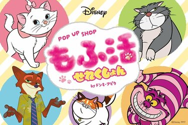 ディズニー映画の〈ネコちゃん〉たちが大集合！？ドンキ＆アピタ限定