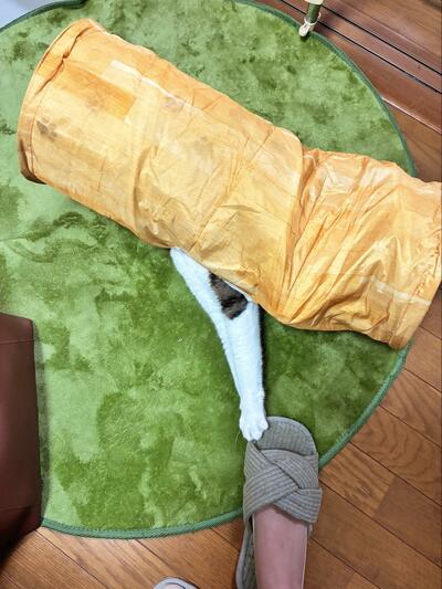 通りかかると足を掴まれるトラップ