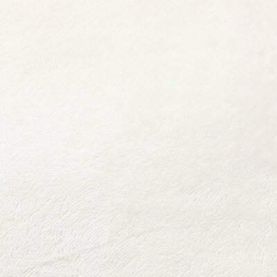 ニトリ、クッションカバー (Nウォーム デコネコ rSCqa)商品画像