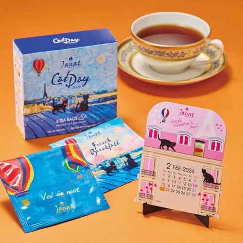 ネコの日バッグ