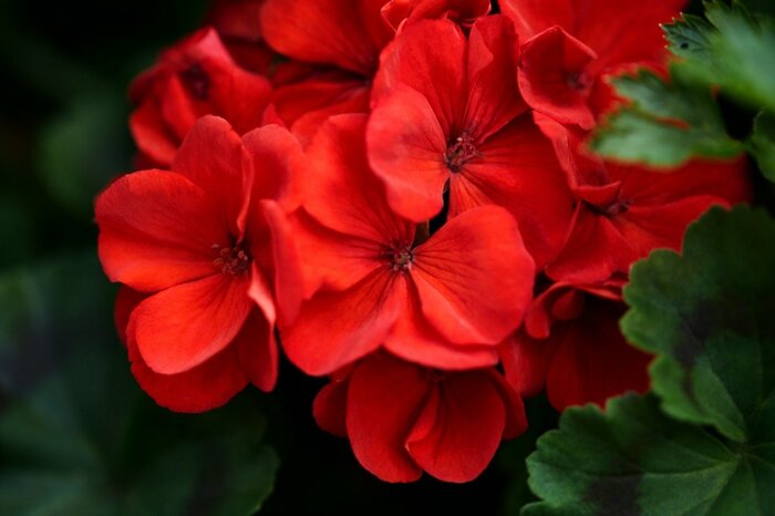 Marina Shvetsova/istockphoto.com