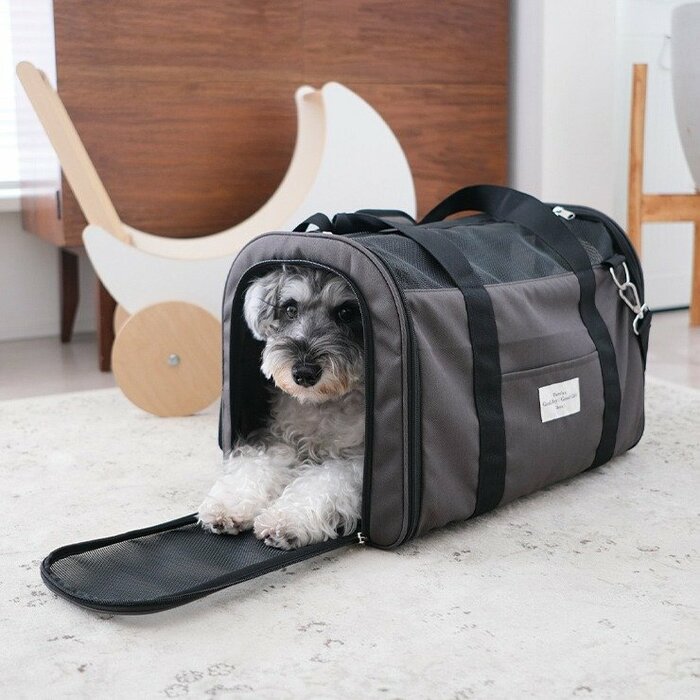 ペットと快適にお出かけできる理想のキャリーバッグ