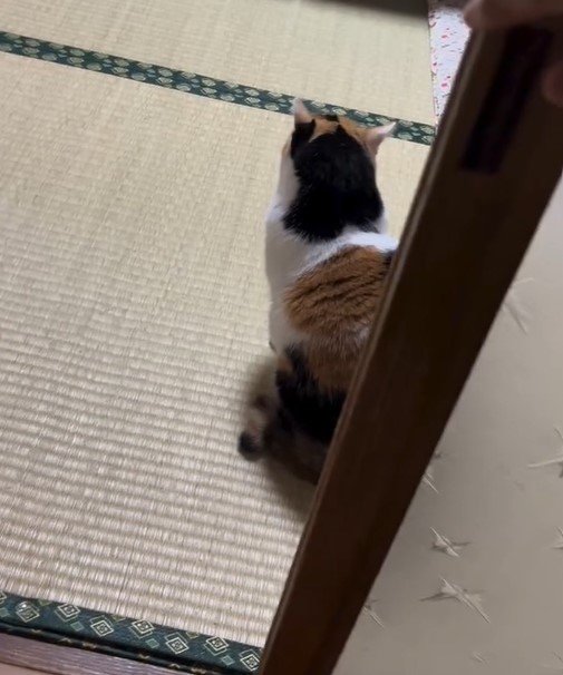 出所：@mike_noritama