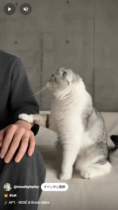 出所：@muudaybyday