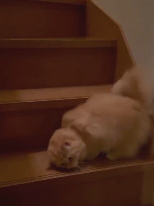 出所：@NEKOLAND13