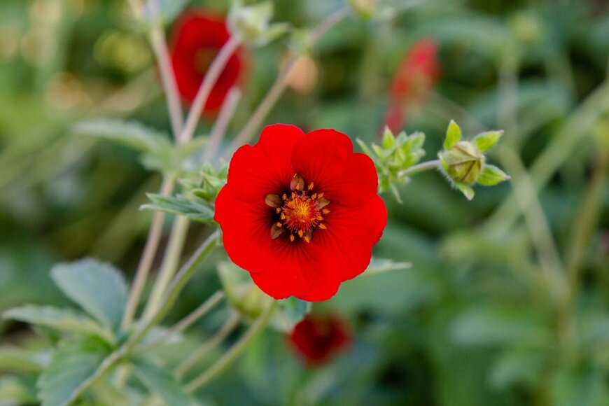 Greens and Blues/shutterstock.com