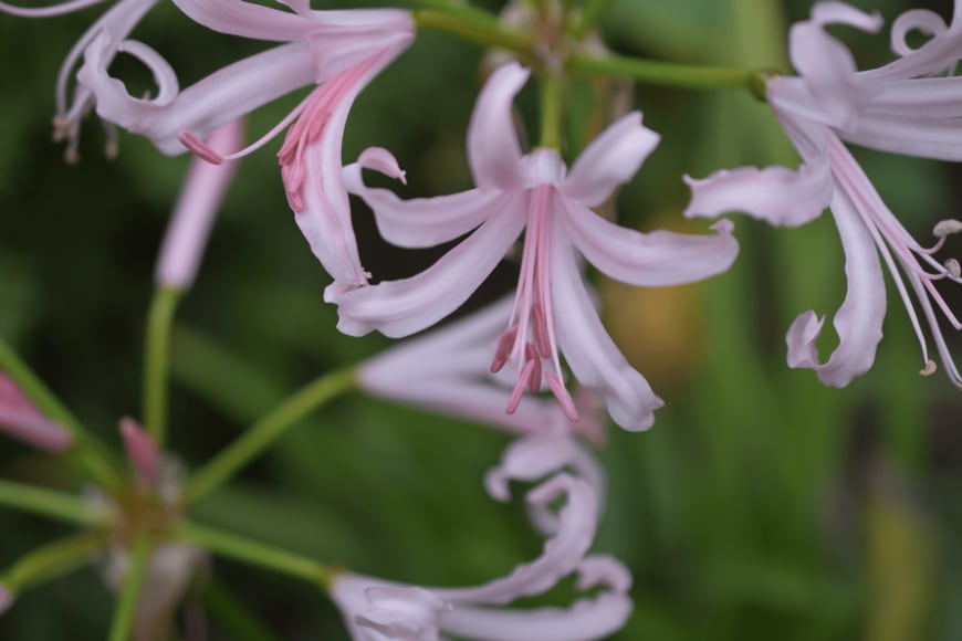 LADOCKI ELVIRA/shutterstock.com