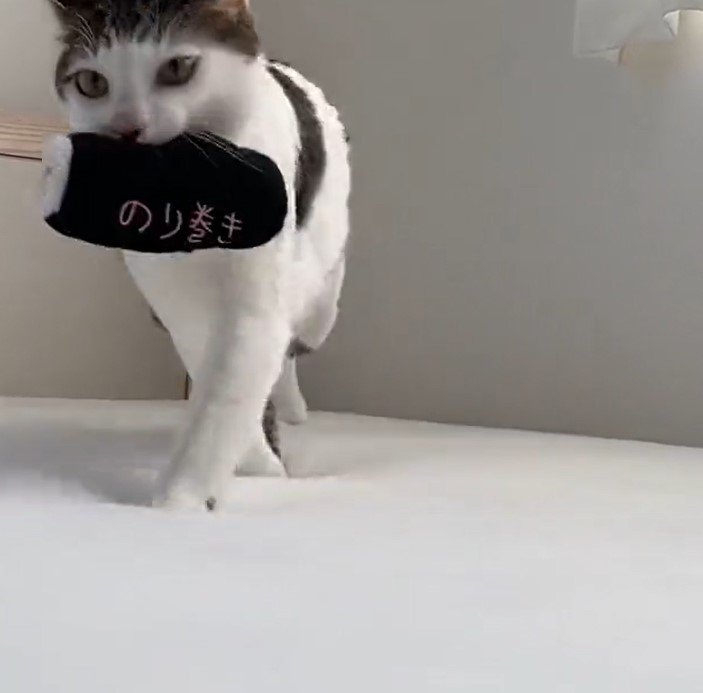 出所：@Saeroyi_cat