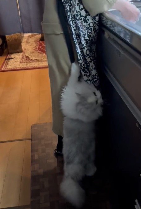 出所：@NEKOLAND13