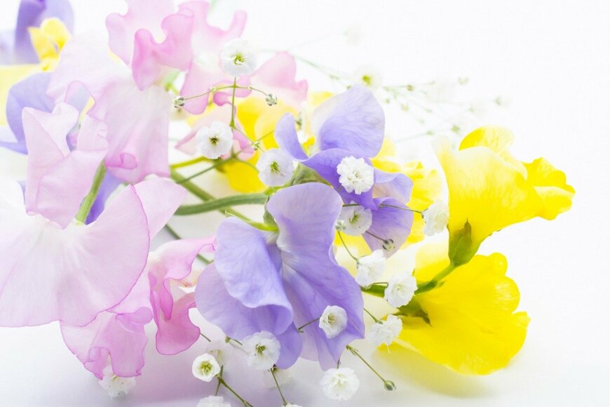 Toshie Kurosawa/istockphoto.com